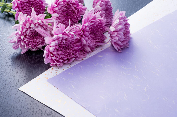 近日公開予定の画像